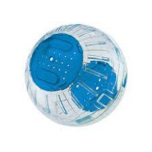 hamster ball